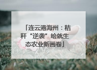 连云港海州：秸秆“逆袭”绘就生态农业新画卷