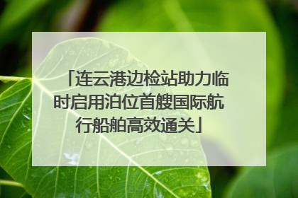连云港边检站助力临时启用泊位首艘国际航行船舶高效通关