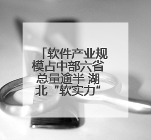 软件产业规模占中部六省总量逾半 湖北“软实力”引来杭州两小龙