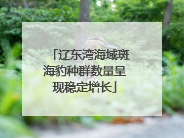 辽东湾海域斑海豹种群数量呈现稳定增长