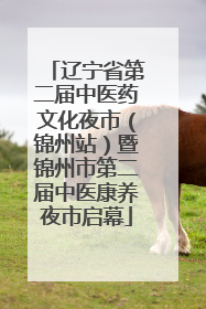 辽宁省第二届中医药文化夜市（锦州站）暨锦州市第二届中医康养夜市启幕