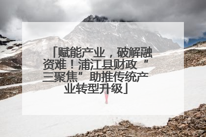 赋能产业，破解融资难！浦江县财政“三聚焦”助推传统产业转型升级