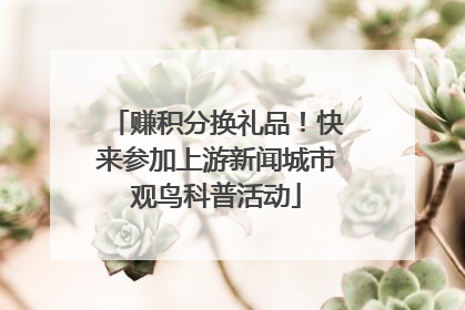 赚积分换礼品！快来参加上游新闻城市观鸟科普活动