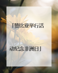 赞比亚举行活动纪念非洲日