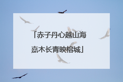 赤子丹心越山海 嘉木长青映榕城