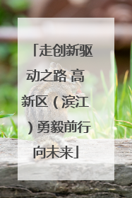 走创新驱动之路 高新区（滨江）勇毅前行向未来
