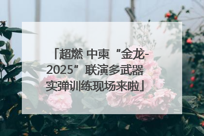 超燃 中柬“金龙-2025”联演多武器实弹训练现场来啦