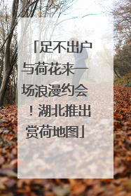 足不出户与荷花来一场浪漫约会！湖北推出赏荷地图