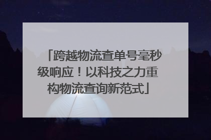 跨越物流查单号毫秒级响应！以科技之力重构物流查询新范式