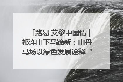 路易·艾黎中国情｜祁连山下马蹄新：山丹马场以绿色发展诠释“两山”理论实践