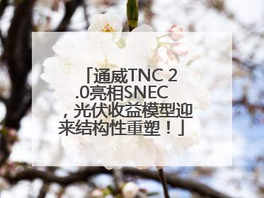 通威TNC 2.0亮相SNEC，光伏收益模型迎来结构性重塑！