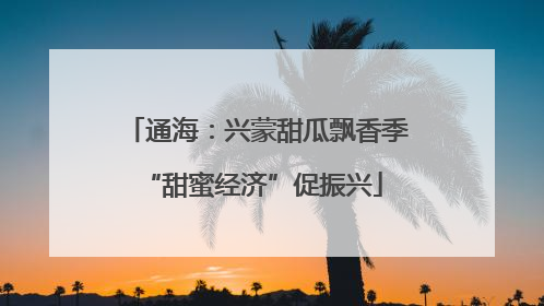 通海：兴蒙甜瓜飘香季 “甜蜜经济”促振兴