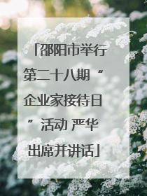 邵阳市举行第二十八期“企业家接待日”活动 严华出席并讲话