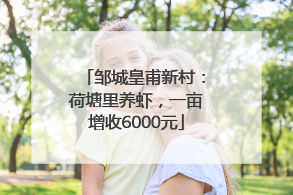 邹城皇甫新村：荷塘里养虾，一亩增收6000元