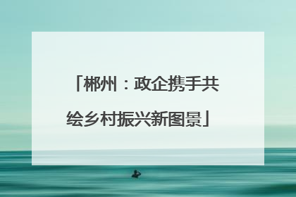 郴州：政企携手共绘乡村振兴新图景