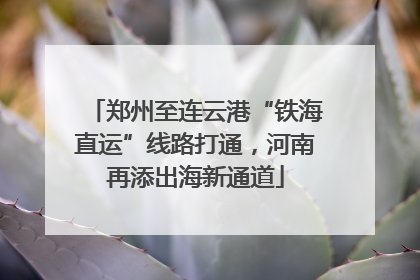 郑州至连云港“铁海直运”线路打通，河南再添出海新通道