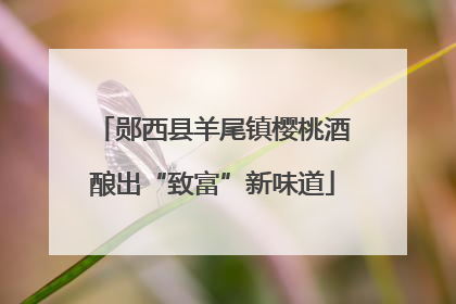 郧西县羊尾镇樱桃酒酿出“致富”新味道