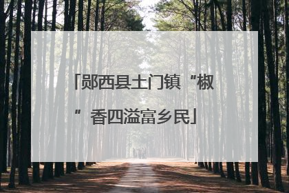 郧西县土门镇“椒”香四溢富乡民