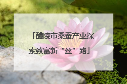 醴陵市桑蚕产业探索致富新“丝”路