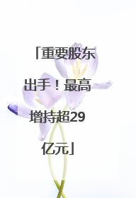 重要股东出手！最高增持超29亿元