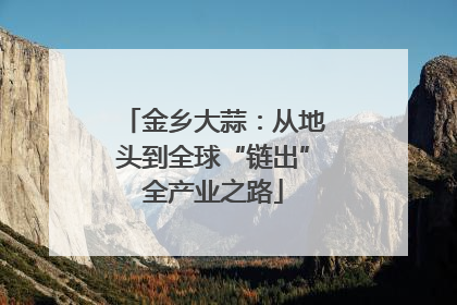 金乡大蒜：从地头到全球“链出”全产业之路