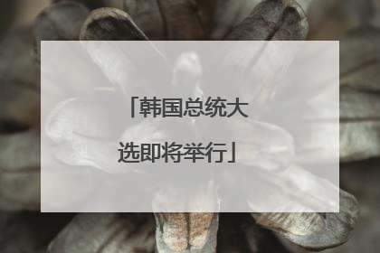 韩国总统大选即将举行