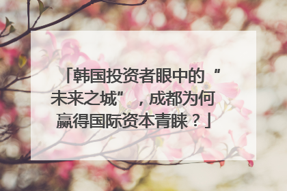 韩国投资者眼中的“未来之城”，成都为何赢得国际资本青睐？