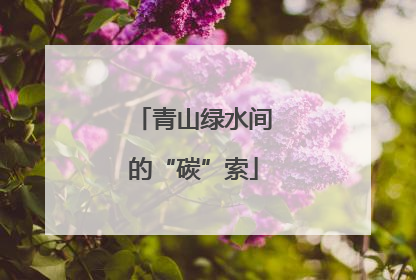 青山绿水间的“碳”索