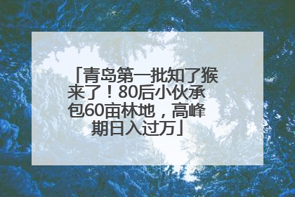 青岛第一批知了猴来了！80后小伙承包60亩林地，高峰期日入过万