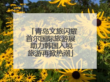 青岛文旅闪耀首尔国际旅游展 助力韩国入境旅游再掀热潮