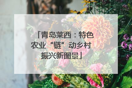 青岛莱西：特色农业“链”动乡村振兴新图景