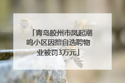 青岛胶州市凤起潮鸣小区因擅自选聘物业被罚3万元