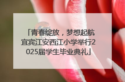 青春绽放，梦想起航 宜宾江安西江小学举行2025届学生毕业典礼