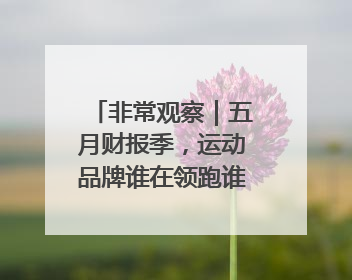 非常观察｜五月财报季，运动品牌谁在领跑谁在掉队