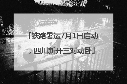 铁路暑运7月1日启动，四川新开三对动卧