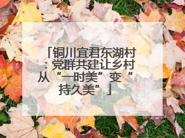 铜川宜君东湖村：党群共建让乡村从“一时美”变“持久美”