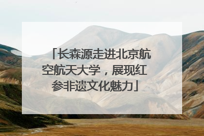 长森源走进北京航空航天大学，展现红参非遗文化魅力