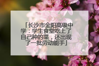 长沙市金阳高级中学：学生食堂吃上了自己种的菜，还出现了一批劳动能手