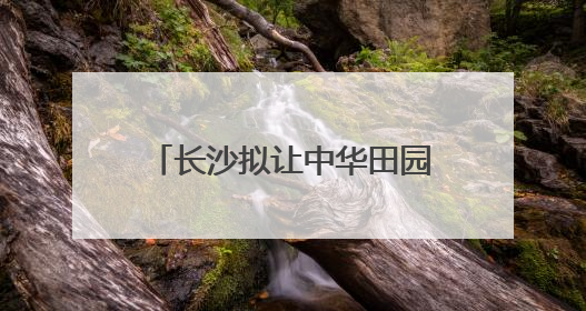 长沙拟让中华田园犬“合法入户”