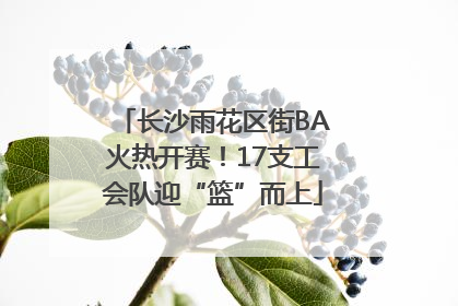 长沙雨花区街BA火热开赛！17支工会队迎“篮”而上