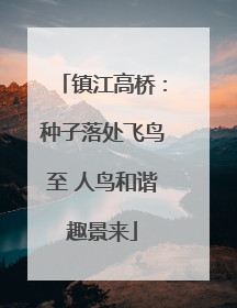 镇江高桥：种子落处飞鸟至 人鸟和谐趣景来
