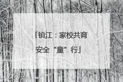 镇江：家校共育 安全“童”行