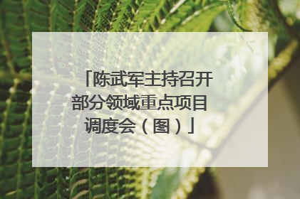 陈武军主持召开部分领域重点项目调度会（图）