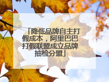 降低品牌自主打假成本，阿里巴巴打假联盟成立品牌抽检分盟