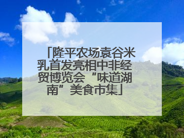 隆平农场袁谷米乳首发亮相中非经贸博览会“味道湖南”美食市集