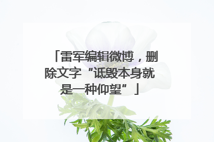 雷军编辑微博，删除文字“诋毁本身就是一种仰望”