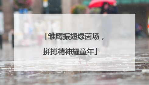 雏鹰振翅绿茵场，拼搏精神耀童年