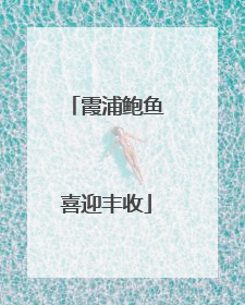 霞浦鲍鱼喜迎丰收