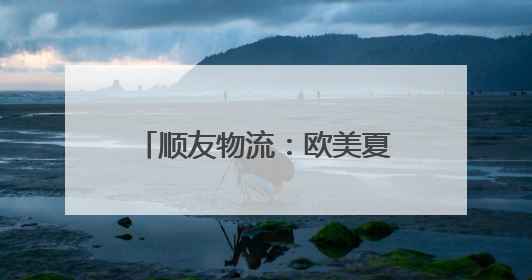 顺友物流：欧美夏日消费热潮涌动，选品、营销、物流一站式攻略来袭