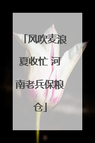 风吹麦浪夏收忙 河南老兵保粮仓